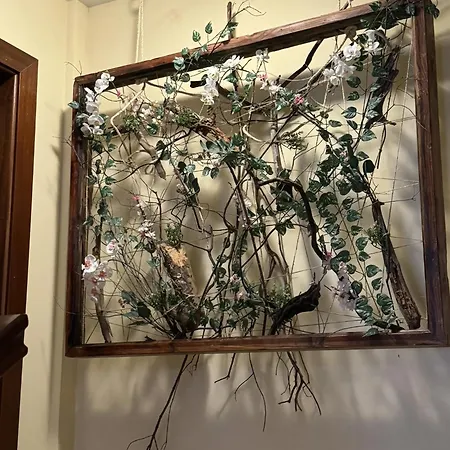 Casa Maricarmen Tacoronte