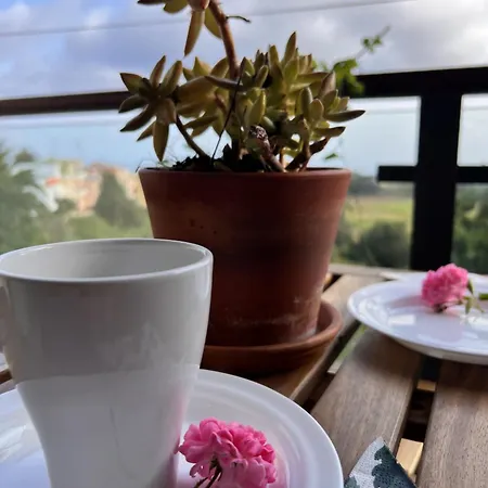 Casa Maricarmen טקורונטה