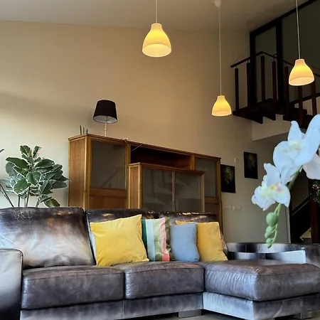 Casa Maricarmen * 타코론테