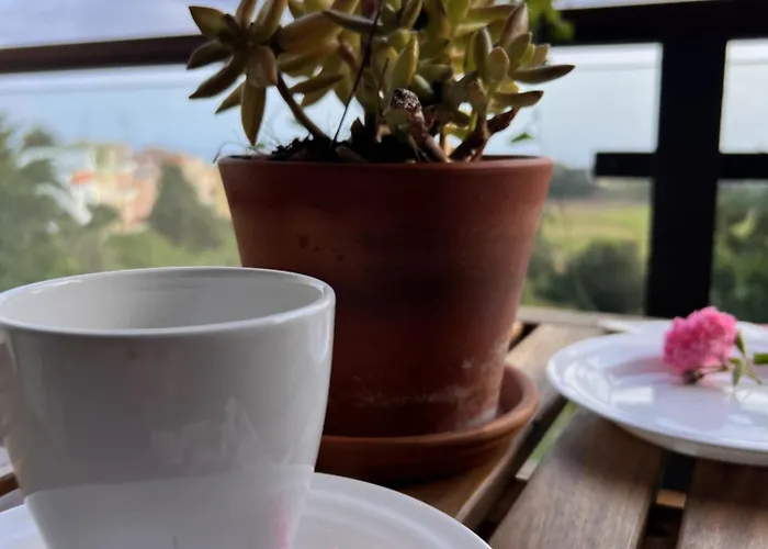 Casa Maricarmen Tacoronte